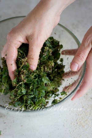 mieszam oregano z cukrem